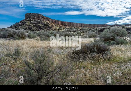 Drumheller Channel Basalt Columns in Washington State Stock Photo