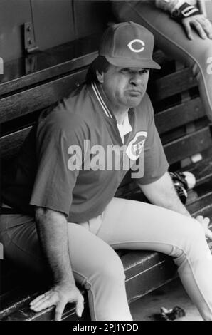 Professional baseball player, Pete Rose in a managerial position Stock Photo