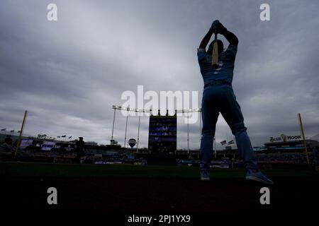 Kansas City, United States. 11th Aug, 2023. AUG 11, 2023: Kansas City Royals  shortstop Bobby Witt Jr. (7) drives a pitch at Kauffman Stadium Kansas  City, Missouri. Jon Robichaud/CSM/Sipa USA. (Credit Image: ©