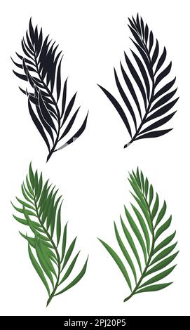 Pair of palm branches in two versions:  black silhouettes and others in cartoon style. Stock Vector