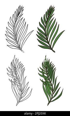 Group of palm branches in two versions: one in outlines for coloring and the other in green colors and cartoon style. Stock Vector