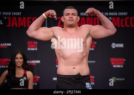 Temecula, Ca, California, USA. 30th Mar, 2023. Temecula, CA - March 28th: Marcelo Golm weighs in at 257.6lbs ahead of Bellator 293 Golm vs James at Pechanga Resort and Casino on March 31st, 2023 in Temecula, California, USA. (Credit Image: © Matt Davies/PX Imagens via ZUMA Press Wire) EDITORIAL USAGE ONLY! Not for Commercial USAGE! Stock Photo
