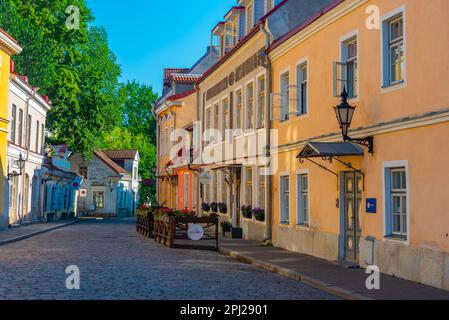 Tallinn, Estonia, June 30, 2022: View of a street in the center of Tallinn, Estonia.. Stock Photo