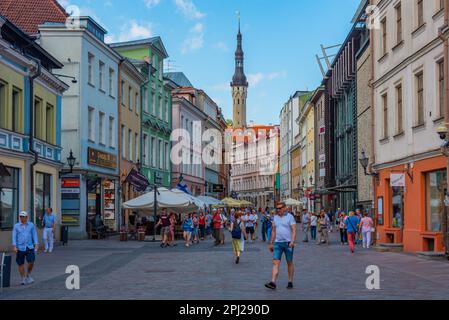 Tallinn, Estonia, June 30, 2022: View of a street in the center of Tallinn, Estonia.. Stock Photo