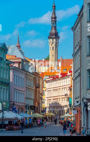 Tallinn, Estonia, June 30, 2022: View of a street in the center of Tallinn, Estonia.. Stock Photo