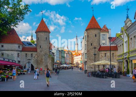 Tallinn, Estonia, June 30, 2022: Viru gate in the Estonian capital Tallin.. Stock Photo