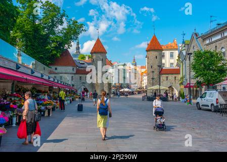 Tallinn, Estonia, June 30, 2022: Viru gate in the Estonian capital Tallin.. Stock Photo