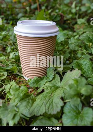 Eco-friendly coffee to go cups on green leaves background. Recycled kraft paper packaging and zero waste concept. Brown coffee paper cup with lid. Set Stock Photo