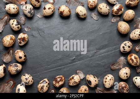 Frame of quail eggs feathers on black table. Space for text Stock Photo