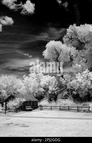 Infrared abandonded  farm house Sedona Arizona morning light Stock Photo