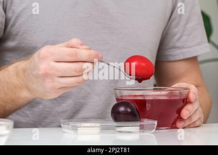 A man takes out colored Easter eggs from colored water. Dyeing easter eggs with food coloring is the first step in favorite Easter egg decorating idea Stock Photo