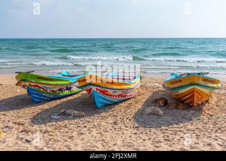 Trincomalee, Sri Lanka, February 6, 2022: Fishing boats at Trincomalee, Sri Lanka. Stock Photo