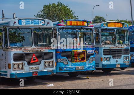 Colombo, Sri Lanka, January 19, 2022: Traditional colorful buses at Colombo, Sri Lanka. Stock Photo