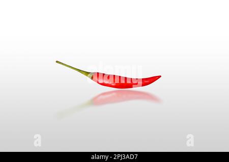 Red chilli Chinda or Jinda isolated on white background with reflection, clipping path included. Stock Photo