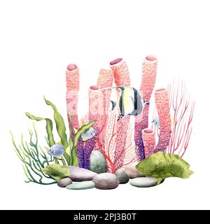 Underwater composition with coral reef plants and fishes. Watercolor illustration isolated on white for clip art, cards Stock Photo
