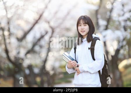 Admission season Spring school Female high school students and college students smiling brightly with happy expressions in front of cherry blossom tre Stock Photo