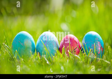 Easter eggs hiding in the grass , Easter time, spring Stock Photo