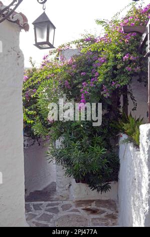 Turkey, Mugla, Marmaris:  street in the old town with street lantern and masses of bougainvillea Stock Photo