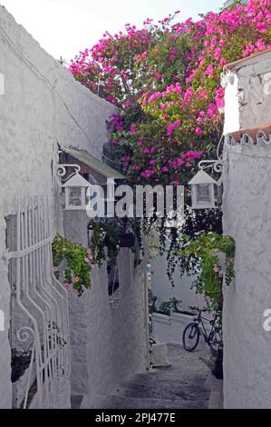 Turkey, Mugla, Marmaris:  street in the old town with street lanterns and masses of bougainvillea. Stock Photo