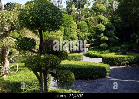 Thailand, Phuket Island, Phuket City, Chalong:  Phuket Botanic Gardens: topiary garden. Stock Photo