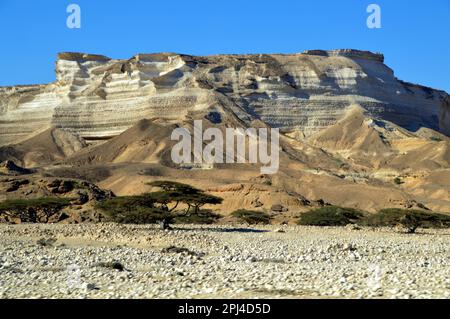 Oman:  rugged limestone scenery of Wadi Shuwaymiyah. Stock Photo