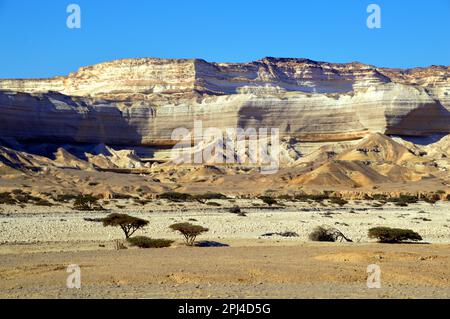 Oman:  rugged limestone scenery of Wadi Shuwaymiyah. Stock Photo