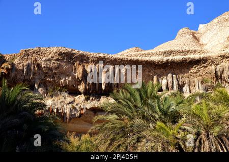 Oman:  an oasis in Wadi Shuwaymiyah, the pool backed by limestone cliffs with bizarre stalactites and caves and fringed with palm trees. Stock Photo