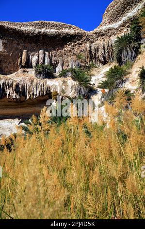 Oman:  an oasis in Wadi Shuwaymiyah, the pool backed by limestone cliffs with bizarre stalactites and caves and fringed with palm trees. Stock Photo