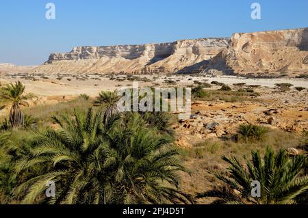 Oman:  rugged limestone scenery of Wadi Shuwaymiyah, with its long escarpment; view from the oasis. Stock Photo