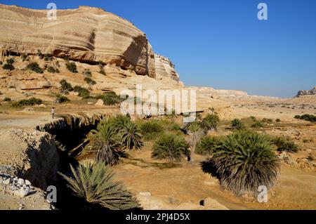 Oman:  rugged limestone scenery of Wadi Shuwaymiyah, with its long escarpment; view from the oasis, where a trickle of water escapes into the desert. Stock Photo