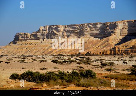 Oman:  rugged limestone scenery of Wadi Shuwaymiyah, with its long escarpment; view from the oasis. Stock Photo