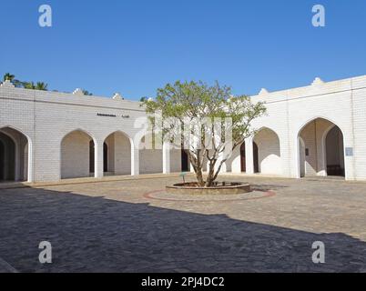 Oman, Taqah:  courtyard of the Museum of the Frankincense Land, with a tree (Boswellia sacra) in the centre. Stock Photo