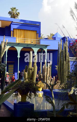 Morocco, Marakech:  Majorelle Garden, created by Jacques Majorelle, starting in 1923.  It was bought by Yves Saint Laurent and Pierre Bergé in the 198 Stock Photo