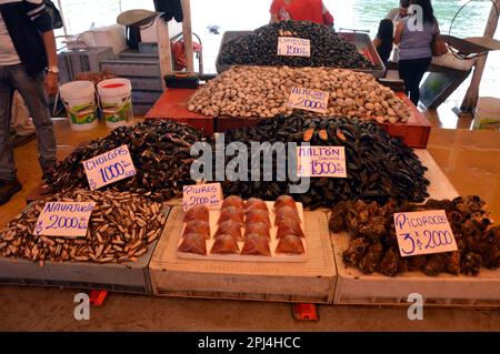 Chile. Valdivia:  in the fish market. Stock Photo