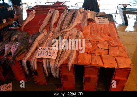 Chile. Valdivia:  in the fish market: conger eels and sea bass. Stock Photo