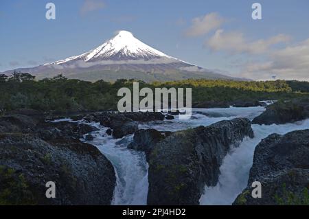 Chile. Puerto Varas:   Vicente Perez Rosales National Park:  the Petrohue River Waterfalls, with snow-capped volcano. Osorno (2.652 m.), in the backgr Stock Photo