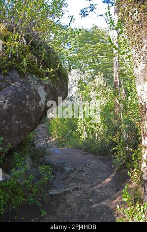 Chile. Puerto Varas:   Vicente Perez Rosales National Park:  the Petrohue River continues in a winding canyon below the waterfalls. Stock Photo