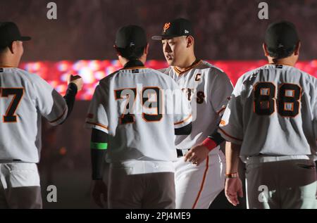 Yomiuri Giants Pro Collection 2023