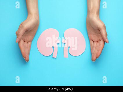 Woman protecting paper cutout of kidneys on light blue background, top view Stock Photo