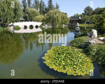 Jade Ribbon Bridge over the Lake of Reflected Fragrance, with Hall of the Jade Camellia on the right - Chinese Garden, Huntington Botanical Gardens Stock Photo