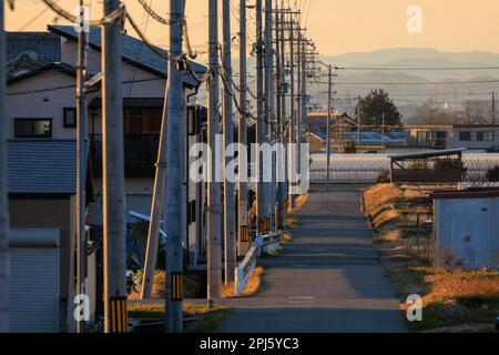 Electrical poles and wires powering homes in rural area at sunset Stock Photo