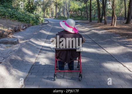 Rear view of a senior adult woman sitting in a walker on a path taking a break, being helped and supported while walking, sunny in the public park, gr Stock Photo