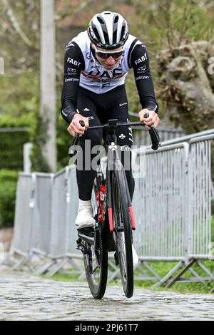 Oudenaarde, Belgium. 31st Mar, 2023. Slovenian Tadej Pogacar of UAE Team Emirates pictured during preparations of several teams on the track ahead of the Ronde van Vlaanderen/ Tour des Flandres/ Tour of Flanders cycling race, Friday 31 March 2023. The 107th edition of the cycling race will take place on Sunday 02 April. BELGA PHOTO DIRK WAEM Credit: Belga News Agency/Alamy Live News Stock Photo