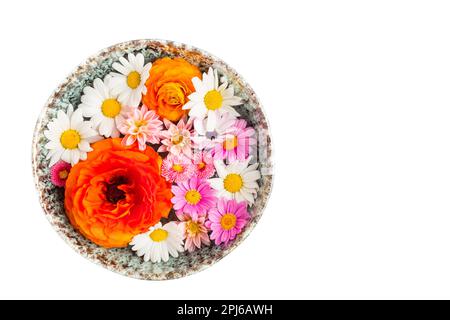 Variation of flowers in bowl isolated on white background with copy space Stock Photo