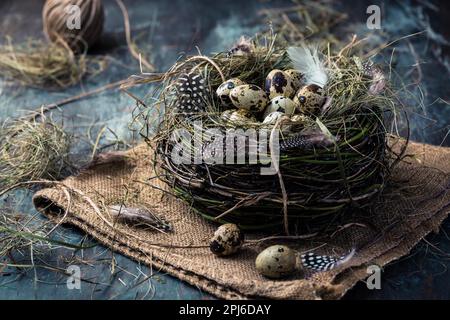Nest with quail eggs for Easter and blooming branches on black background Stock Photo