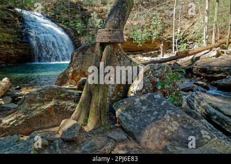 An old sign on a tree saying Stinging fork falls end of trail where it ends with the waterfall spilling in a turquoise color pool in the background an Stock Photo
