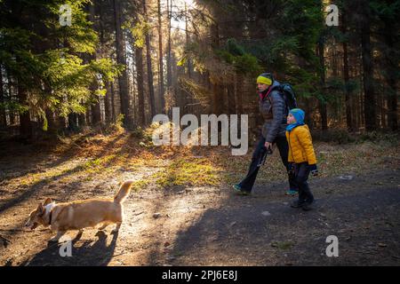 A mother with a child and a dog are walking along the mountain hiking trail. Family spending time. Polish mountains, Poland, Europe Stock Photo