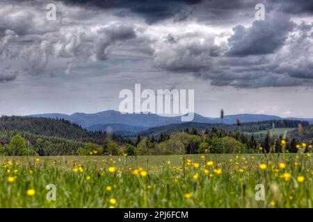 View into the Kirnbach valley, landscape in the Black Forest with dark clouds, Lauterbach, Baden-Wuerttemberg, Germany Stock Photo
