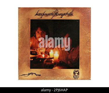 https://l450v.alamy.com/450v/2pj6hap/longbranch-pennywhistle-1970-vintage-us-music-vinyl-record-2pj6hap.jpg