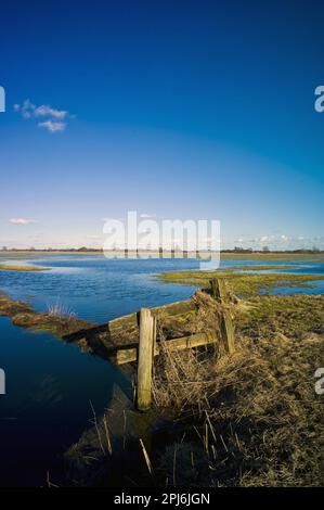 Flooded meadows in the Teufelsmoor near Worpswede, Osterholz district, Germany Stock Photo